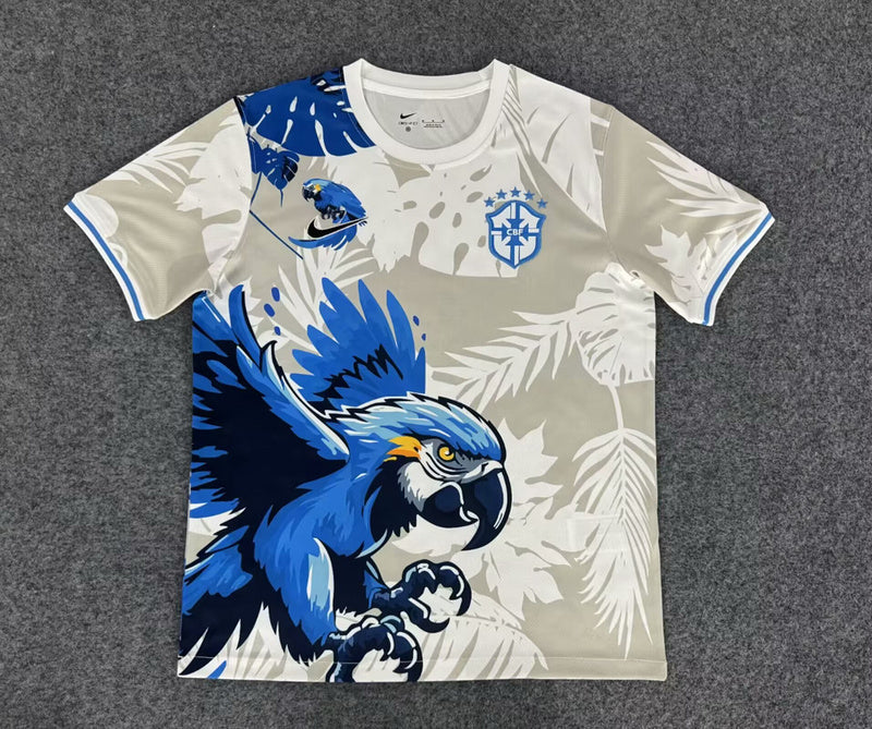 Maillot Brésil concept 2025-26 Maison To Sport