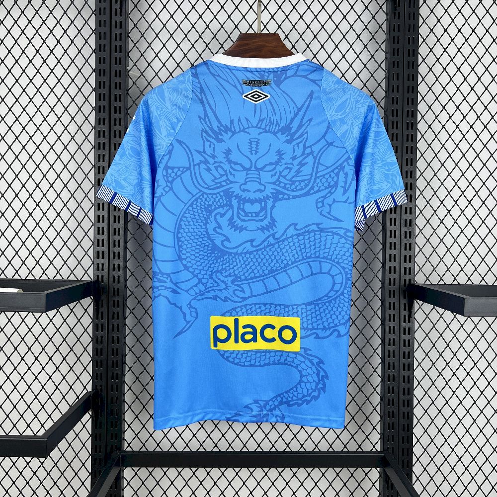 Maillot Santos concept 2025-26 Maison To Sport