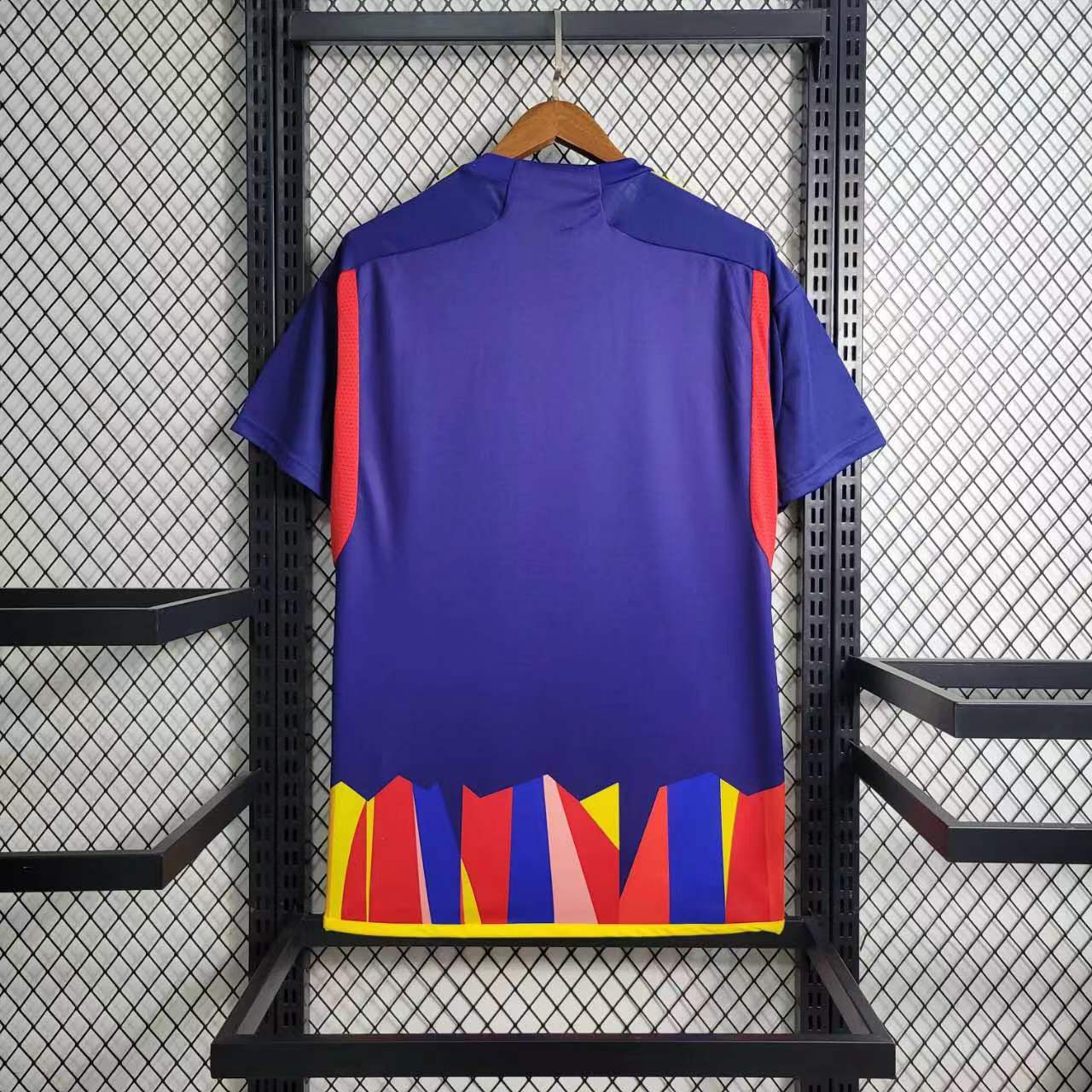 Maillot Lyon Concept 2023-24 Maison To Sport
