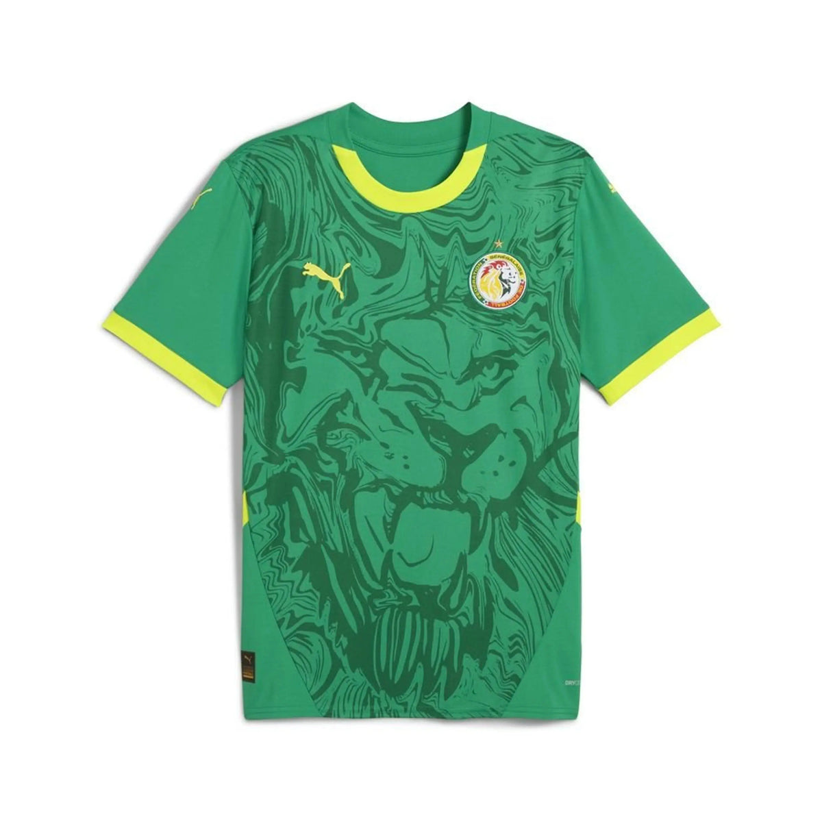 Sénégal Maillot Extérieur Africa Cup of Nations 2025 JYF