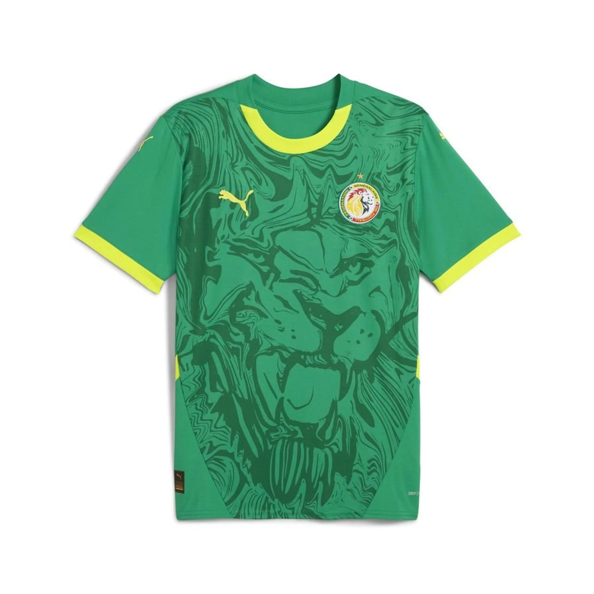 Sénégal Maillot Extérieur Africa Cup of Nations 2025 JYF